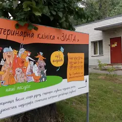 Злата