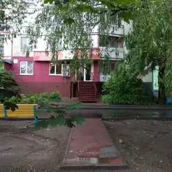 Колібрі