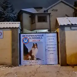 Лессі