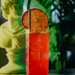 Culture Bar