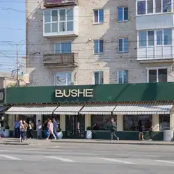 Bushe