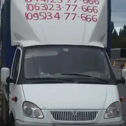 Служба переїздів Домовоз