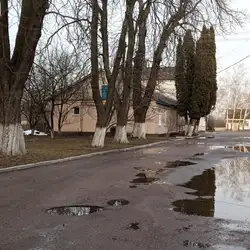 Районна клініка ветеринарної медицини