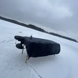 Андрій Теодорович