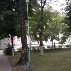 Пульмонологическое отделение