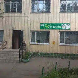 Ельф — Кропивницький
