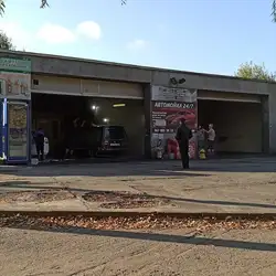 Мийка Кабанчика