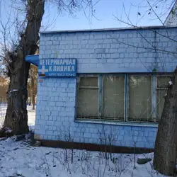 Велика Ведмедиця - Ореста Левицького