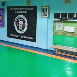 Міксфайтер