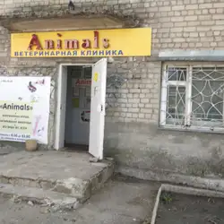 Animals ветклініка