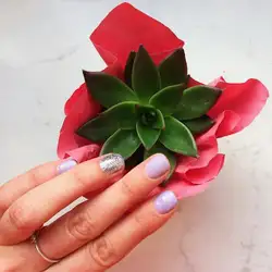 Candy Nails