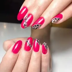 Belinska Style — Київ