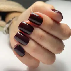 DanMari Studio — Львов