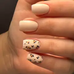 Nails studio