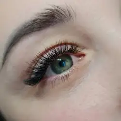 Lashmaker. Browmaster — Киев