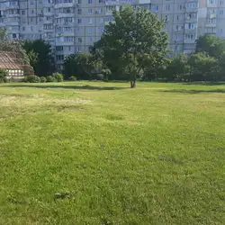 Перша Білоцерківська гімназія