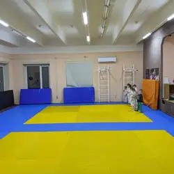 SK Judo Family