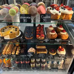 Mollis Coffee