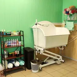 М'ята