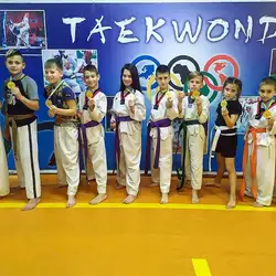 Taekwondo