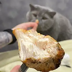 Pollo — Рівне