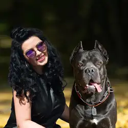 Фотостудія Art Pet