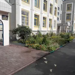 Заклад дошкільної освіти Монтессорі-сад