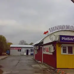 Шиншоп