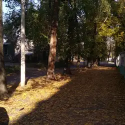 Комунальний заклад освіти "Середня загальноосвітня школа №51" Дніпровської міської ради