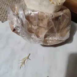 Донер хауз