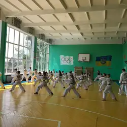 Тхеквондо