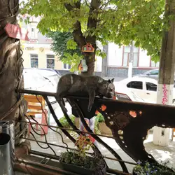 Теретенія — Житомир