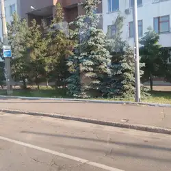 Лідія — Київ