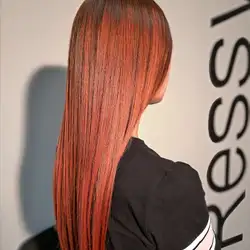 Ressyv