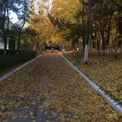 Дитячий садок №104