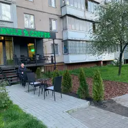 Jungle Coffee