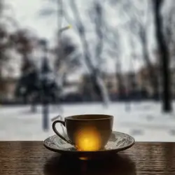 Coffee House ZT 59 Житомир
