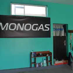 Monogas