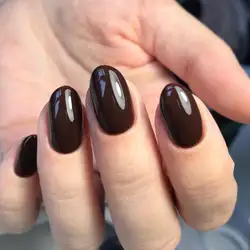 Kontraktova Beauty