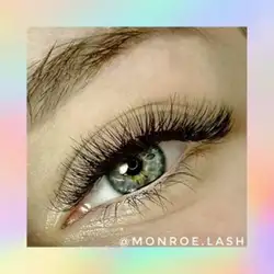 Monroe Lash