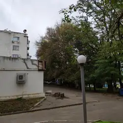 Поляна — Одеса