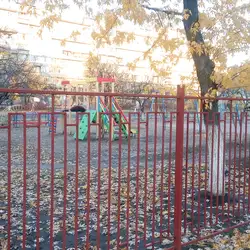 Початкова школа Ліцею 157