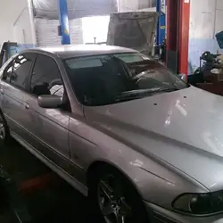 Motor Cats 24