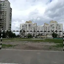 Школа №316