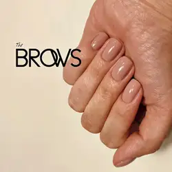 THE BROWS — Киев