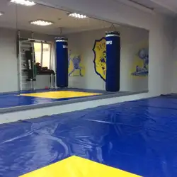 Fighting Gym
