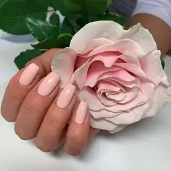 L'orange SPA