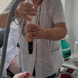 Марина Лисогор