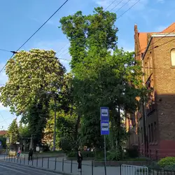 Ліцей №10 імені святої Марії Магдалени