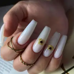 Kit Nails Kr — Кропивницький